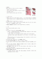 COPD case study 4페이지