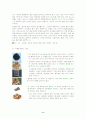 웰빙으로가는길-컬러푸드 9페이지