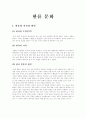 한류문화에 대한 이해 2페이지