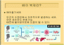 줄기세포연구 2페이지