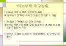 놀부 마케팅 사례분석 23페이지