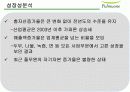 풀무원 기업재무관리 분석  18페이지