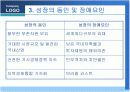 우리나라기업의 브라질시장 진출과 마케팅전략  10페이지