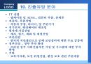 우리나라기업의 브라질시장 진출과 마케팅전략  33페이지