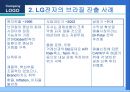 우리나라기업의 브라질시장 진출과 마케팅전략  49페이지