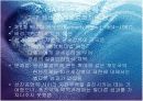 국제무역의 질서와 동향 5페이지