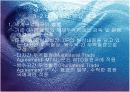국제무역의 질서와 동향 8페이지