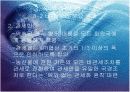 국제무역의 질서와 동향 9페이지