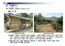 보성 강골마을 25페이지