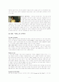 영화 레이(RAY) 분석 연구  5페이지