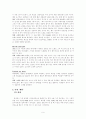 영화 레이(RAY) 분석 연구  6페이지