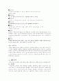 리바이스 마케팅 분석 5페이지
