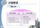 레인콤 국제마케팅 12페이지