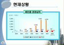 레인콤 국제마케팅 14페이지