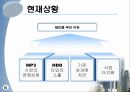 레인콤 국제마케팅 16페이지