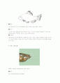 관상어의 질병와 치료 9페이지