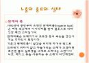생활과학 - 의류 : 노출에 대해 ~ 14페이지