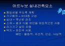  서양실내디자인 - 아르누보 < A+ > 17페이지