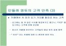 민들례영토 전략 및 마케팅분석 7페이지