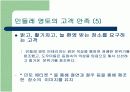 민들례영토 전략 및 마케팅분석 9페이지
