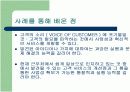 민들례영토 전략 및 마케팅분석 13페이지