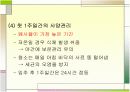 병아리 사육보고서 14페이지