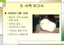 병아리 사육보고서 25페이지
