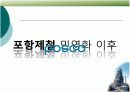 공기업 민영화(포스코 중심) 17페이지