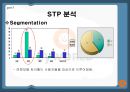 [e비즈니스]'싸이월드' 성공요인 분석 및 향후 마케팅전략 (A+리포트) 31페이지