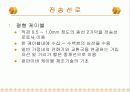 전기통신기술의 변천 6페이지
