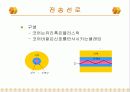 전기통신기술의 변천 14페이지