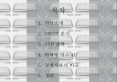 닌텐도DS의 마케팅 활동사례 2페이지