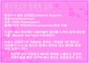 인터넷 배너광고 발표 과제제출 5페이지