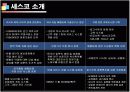 기업성공전략, 세스코(CESCO) 기업분석  4페이지