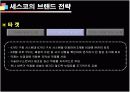 기업성공전략, 세스코(CESCO) 기업분석  8페이지