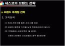 기업성공전략, 세스코(CESCO) 기업분석  16페이지