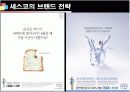 기업성공전략, 세스코(CESCO) 기업분석  18페이지