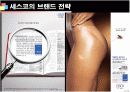 기업성공전략, 세스코(CESCO) 기업분석  19페이지