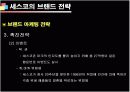 기업성공전략, 세스코(CESCO) 기업분석  20페이지