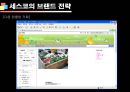 기업성공전략, 세스코(CESCO) 기업분석  23페이지