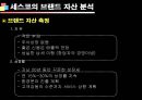 기업성공전략, 세스코(CESCO) 기업분석  29페이지