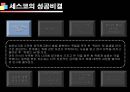 기업성공전략, 세스코(CESCO) 기업분석  31페이지