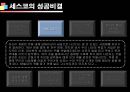 기업성공전략, 세스코(CESCO) 기업분석  32페이지