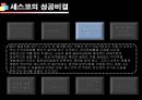 기업성공전략, 세스코(CESCO) 기업분석  33페이지