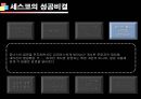 기업성공전략, 세스코(CESCO) 기업분석  34페이지
