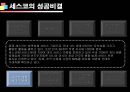 기업성공전략, 세스코(CESCO) 기업분석  35페이지