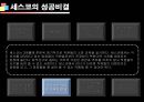 기업성공전략, 세스코(CESCO) 기업분석  36페이지