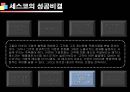 기업성공전략, 세스코(CESCO) 기업분석  37페이지