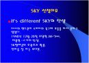 스카이(SKY), MIC 전략의 성공사례에 대한 내용 및 평가 3페이지
