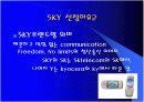 스카이(SKY), MIC 전략의 성공사례에 대한 내용 및 평가 4페이지